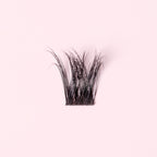 Glamour Black - Starter Kit