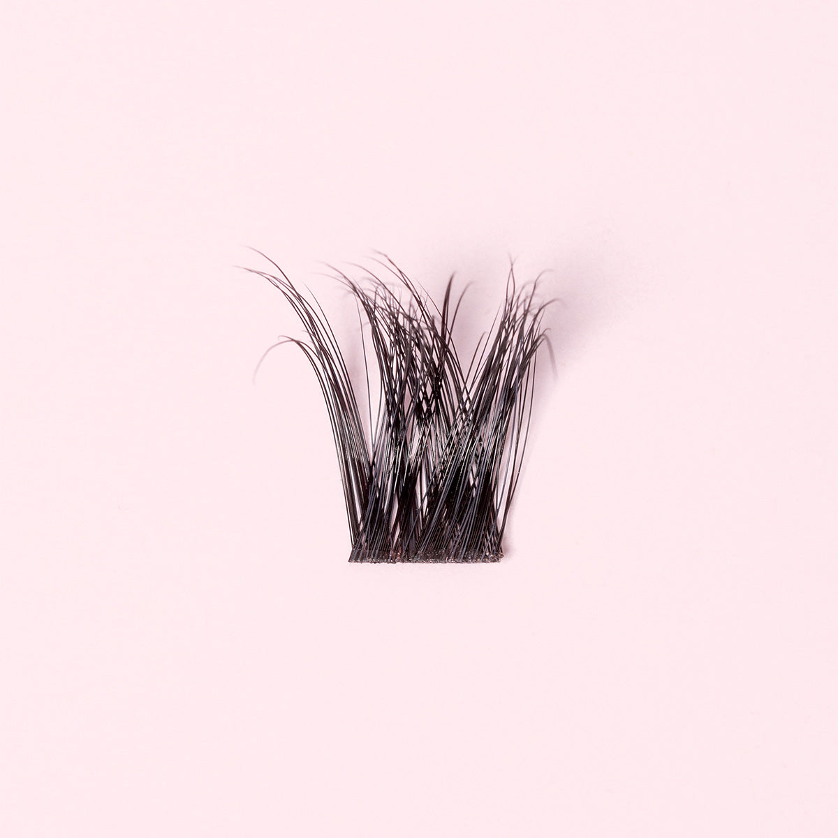Glamour Black - Starter Kit